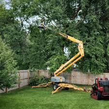 Leaf Removal in Breese, IL