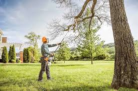 How Our Tree Care Process Works  in  Breese, IL